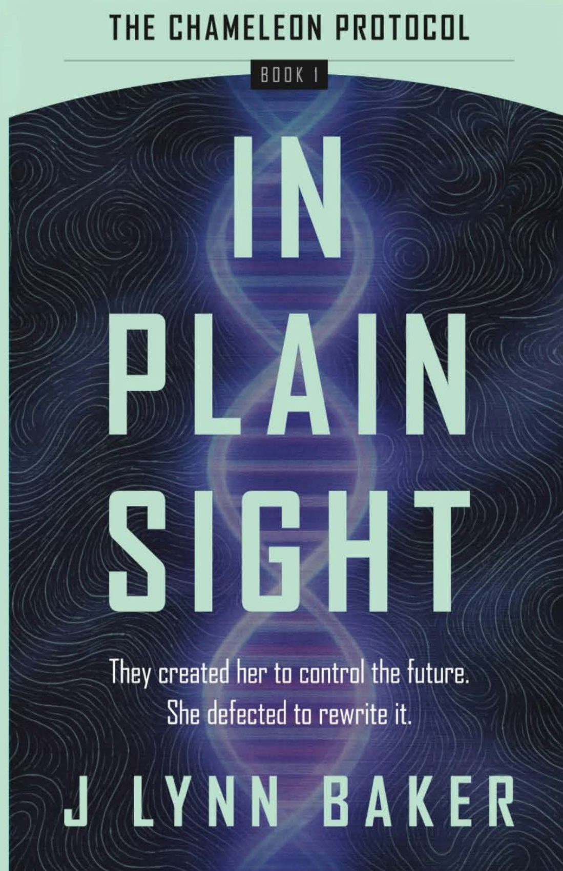 Picture of In Plain Sight